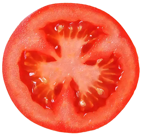 Food vegetable composition healthy colorful half tomato isolat blank studio background